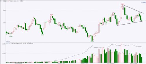 春節假期開市預測報告 農畜產品板塊商品現貨銷售展望